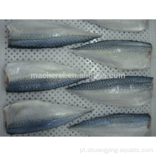 Frozen Pacific Mackerel Scomber japonicus Filé de peixe